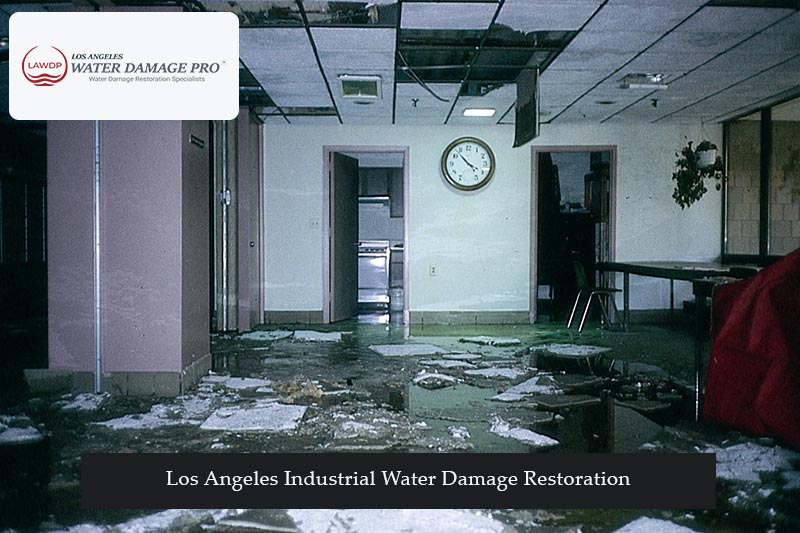 Los Angeles Industrial Water Damage Restoration